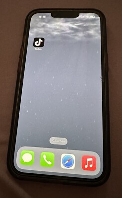iPhone 13 With Tik Tok Installed