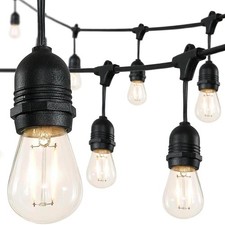 15-Light Indoor/Outdoor 48 ft. Plug-in Edison Bulb Shape String Light Rustic LED
