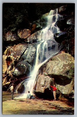 Postcard Great Smoky Mountains, TN Ramsey Cascades Waterfall