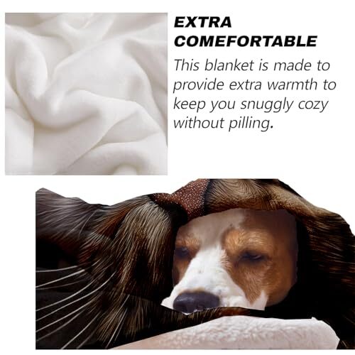 Cat Blanket Gifts for Cat Lovers Women Girls Cute Cat Throw Blankets for Bed ... - Picture 6 of 6