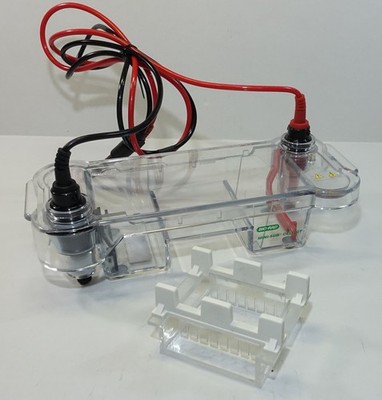 Bio-Rad Mini-Sub Cell GT  DNA Electrophoresis Systems, Tray & 2 Combs, Complete