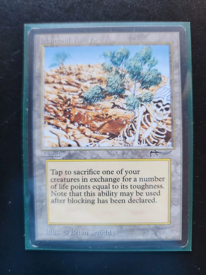 Diamond Valley Magic: The Gathering MTG x1 Arabian Nights Moderately Played - Image 4 of 4
