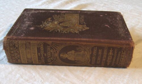 1892 Darkness & Daylight in New York: A Woman's Story by Helen Campbell - Picture 5 of 9