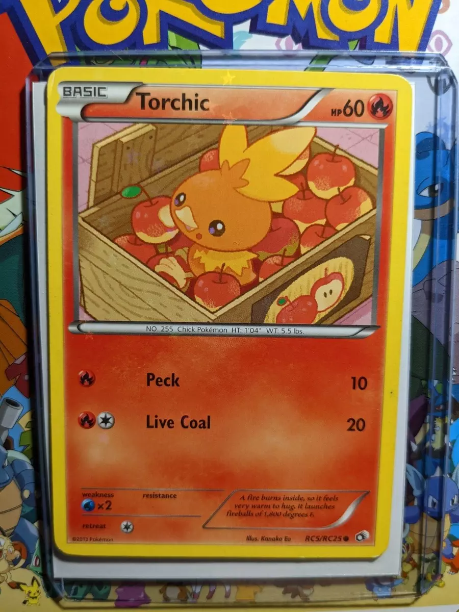 Torchic holo card and cheap toy