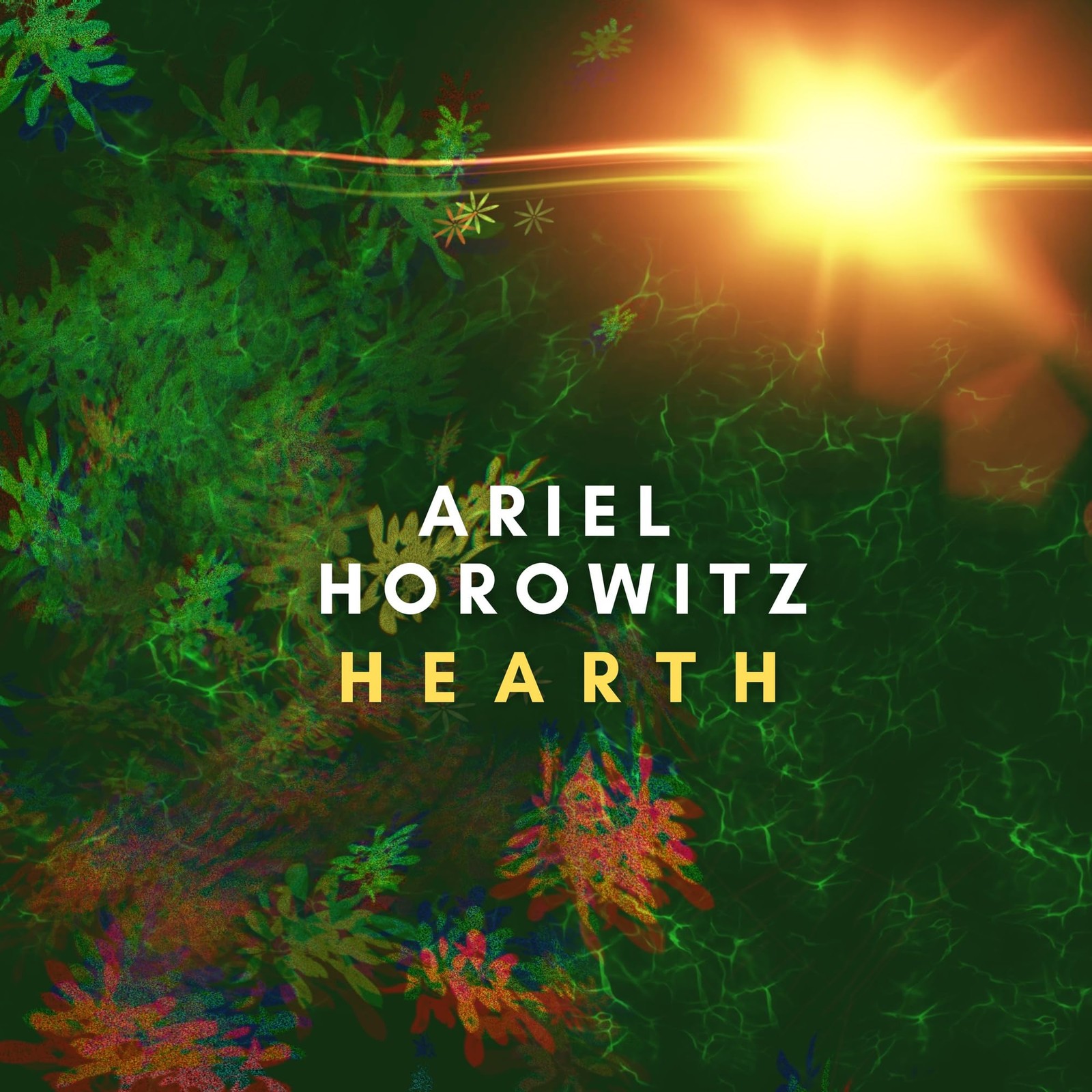 Ariel Horowitz Hearth (CD)