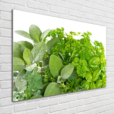 Glas-Bild Wandbilder Druck auf Glas 100x70 Deko Essen & Getränke Kräuter