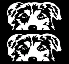 Australian Shepherd Two PK 6" White Vinyl Decal Car Truck Van SUV Laptop Tablet