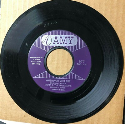 Rickie & Hallmarks 7'' Single 45 RPM Original Press First Pressing Amy 1963