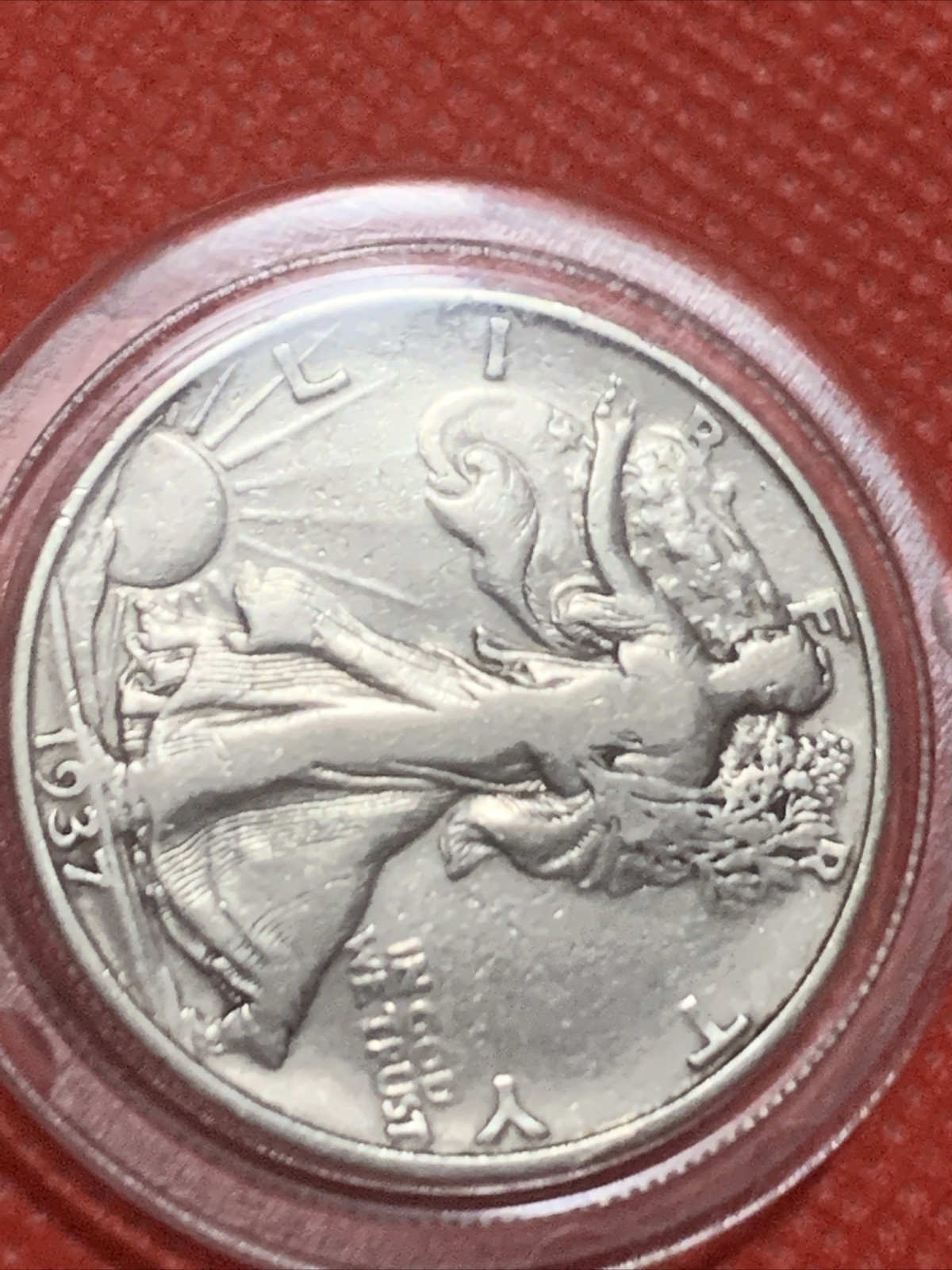 Picture 3 of 6