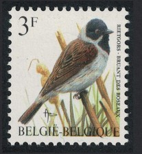 Belgium Reed Bunting Bird Buzin  Bruant des Roseaux  3f Normal paper 1991