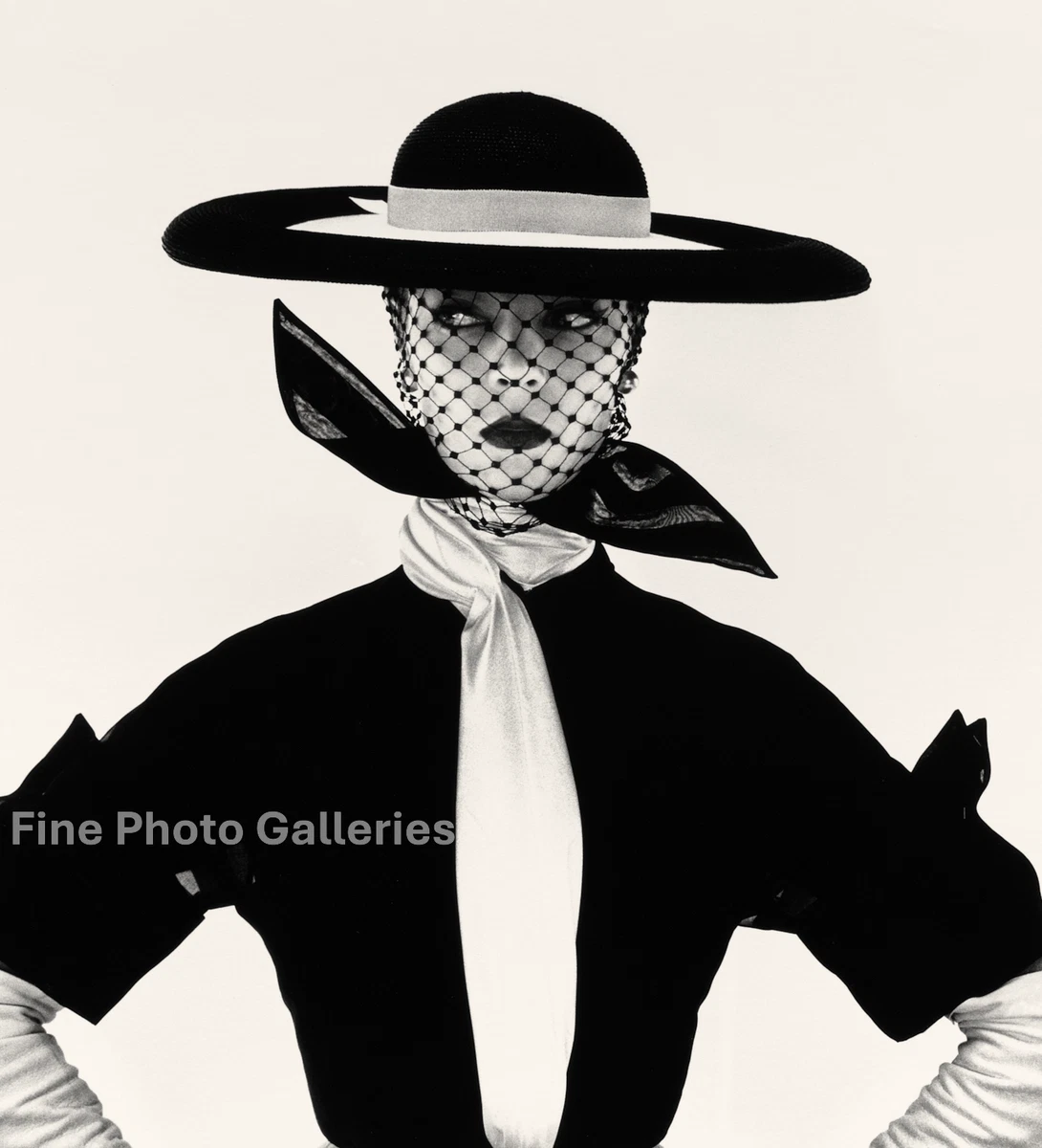 【Drawings：Irving Penn】Irving Penn1999年初版 Irving Penn Art Prints for sale | eBay