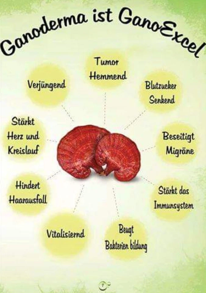 Gano Excel GanoCafe Hazelnut Coffee / Haselnuss Kaffee Ganoderma Kaffee - Bild 3 von 4