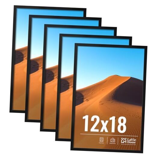 12x18 Black Picture Frame 5 Pack with HD Glass for Photo Art Display  
