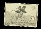 US Stamps, Collection Lot J307, Federal Duck Stamp RW7, Unused previously hinged