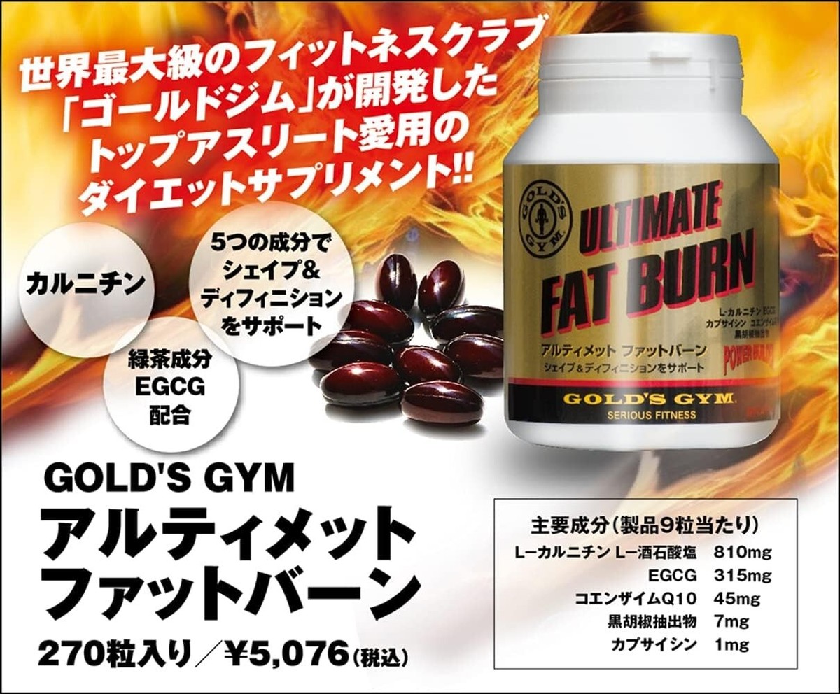 セット　GOLD&#39;S GYM サプリ FAT BLOCK &amp;  FAT BURN 61o9spaYL4L._US1000_36866ee0-