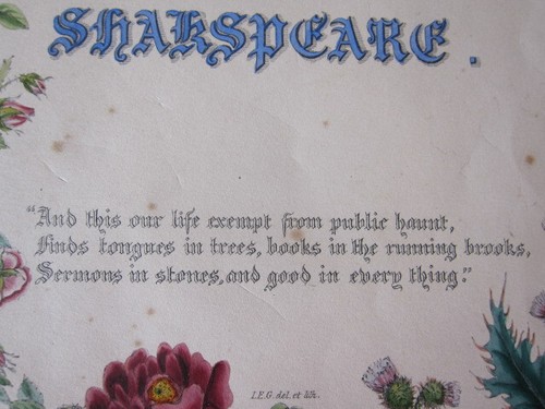 Antigua litografía coloreada a mano de Jane Elizabeth Giraud Las flores de Shakespeare - Imagen 7 de 7