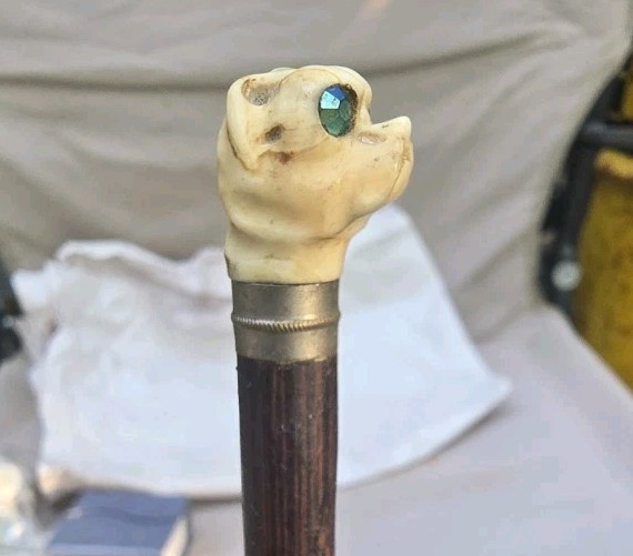 Antique Bulldog Head Music Baton Wood Handle Rare Bone Head