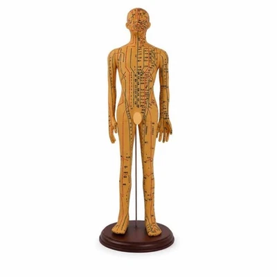 Mannequin D'acupuncture avec Aiguilles Précis pour Cabinet Médical, - Photo 1/4