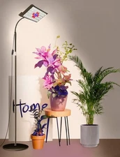 Full Spectrum Plant Grow Light | Adjustable Height 75.5 in | Auto Timer