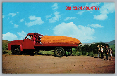 Big Corn Country Postcard