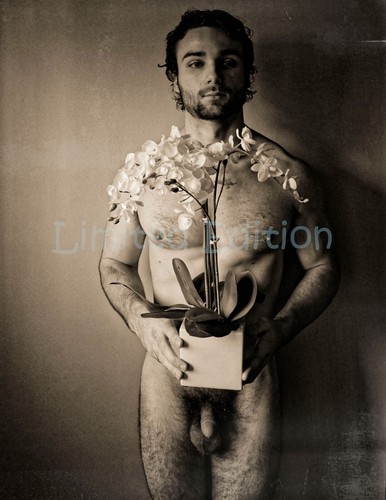 Handsome Male Nude Physique Gay Interest Limited Edition Photo 8.5x11 12.20 - Picture 2 of 2