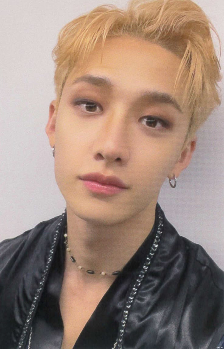 Stray Kids - SKZ BANG CHAN DICON D'FESTA MINI EDITION Photocard