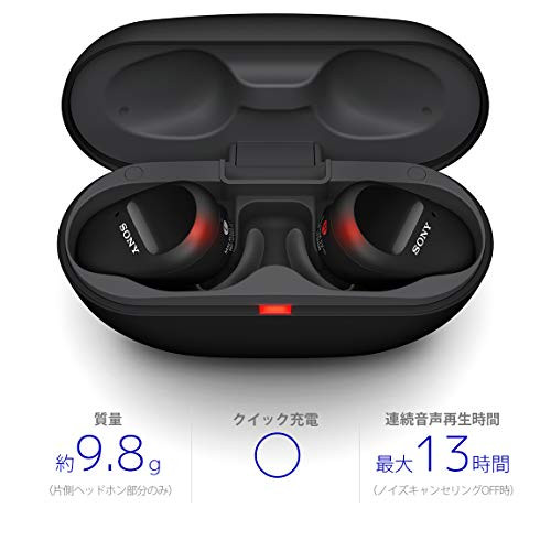 Sony Complete Wireless Noise Canceling Earphone WF-SP800N