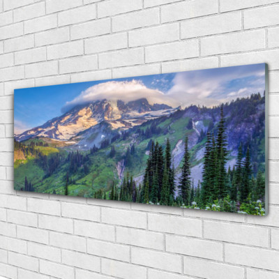 Acrylglasbilder Wandbilder aus Plexiglas  125x50 Gebirge Wald Landschaft