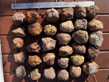 Rough China pujiang Agate Achat Nodule Specimen thundereggs 1kg 6-12pcs