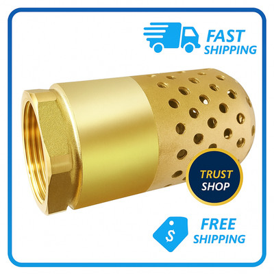 1-1/4'' Brass Foot Valve NPT Heavy Duty Spring Check Valve with Strainer