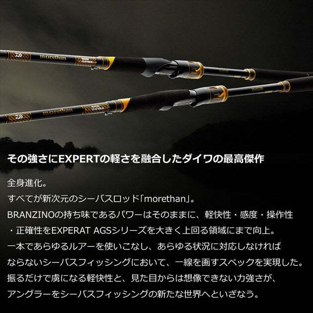 Daiwa Morethan Branzino EX AGS 87LML (Spinning 2 Piece) | eBay
