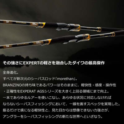Daiwa Morethan Branzino EX AGS 87LML (Spinning 2 Piece) | eBay