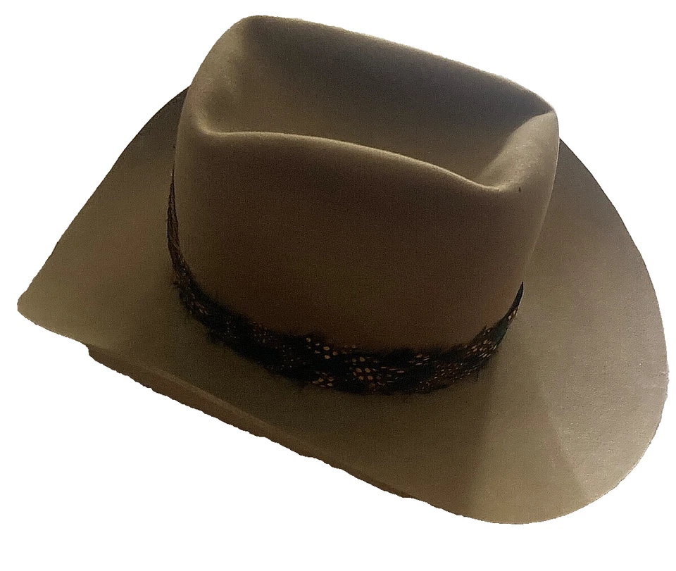 Sombrero de Vaquero Castor Resistol XXX con Banda de Sombrero de Plumas, Para Hombre Talla 7, Tostado, De Colección Foto 3 de 4