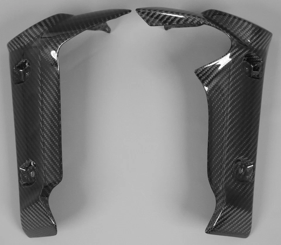 2006 - 2012 年雅马哈 FZ1 Fazer 散热器盖(裸版)- 100% 碳纤维 — 第 4/4 张图片