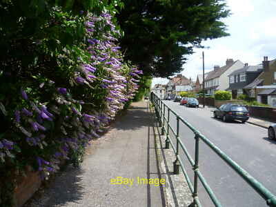 Foto 12x8 Buddleia über dem erhöhten Bürgersteig in Cross Lane East Die Erhöhung c2011