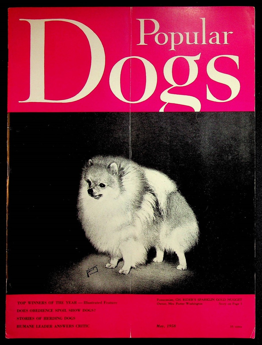 Celebrities Famous Dog Lovers Famous People Famous