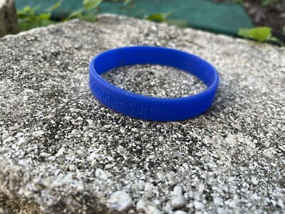 Breyer BreyerFest Horse Memorabilia 2006 Summer Carnival Rubber Wristband