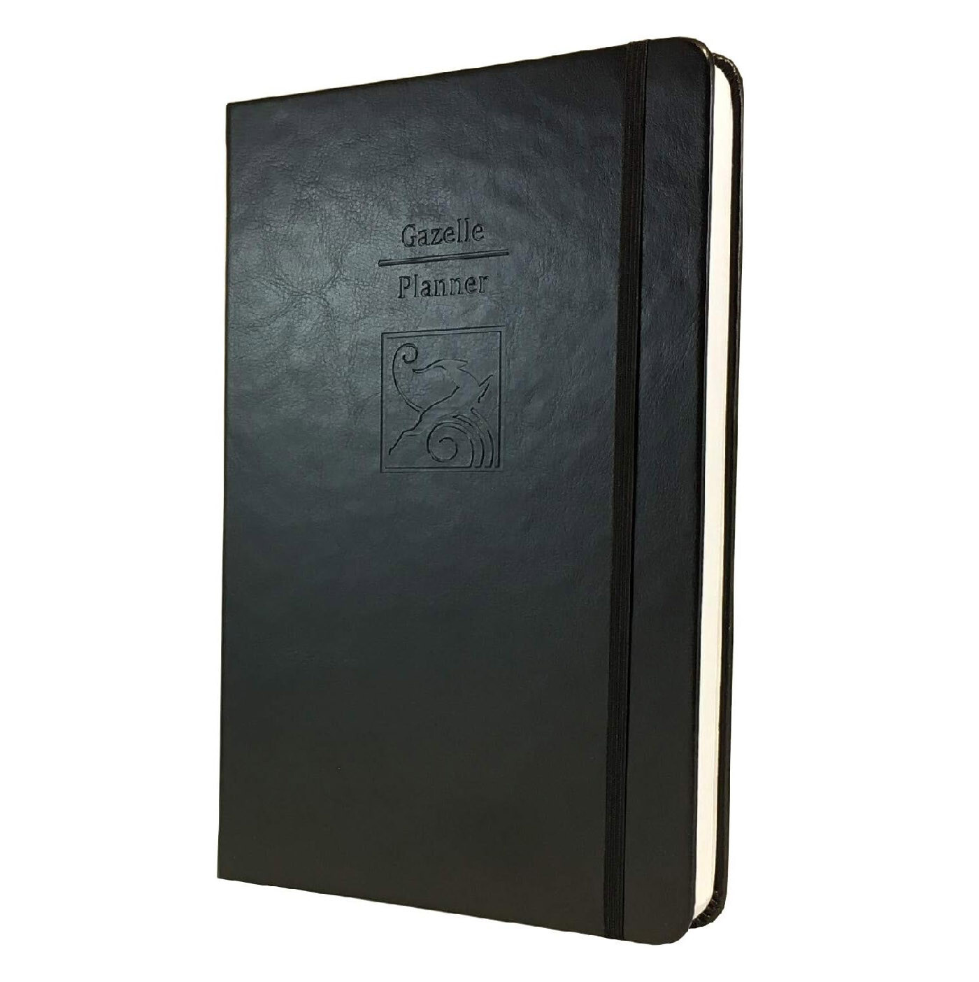 A5 Undated Daily Planner Pro Guided Journal Organization Productivity Goals Book