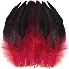 Red Rooster Tail Feathers - 200 Pcs 5-7 Inch Natural Small Feathers Bulk for Hat