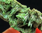 52g flowery green pyromorphite crystals minerals specimens from China!