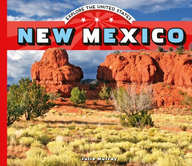 New Mexico by Julie Murray 9781532191343 NEW Free UK Delivery - Image 3