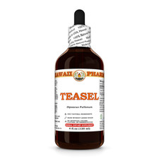 Teasel Dipsacus Fullonum Dried Root Liquid Herbal Extract