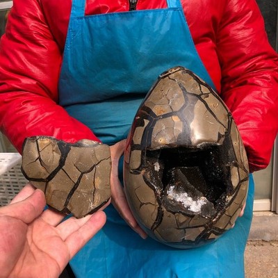 18.5LB Natural Turtle Back Stone Cave Shape Dragon Crystal Crack Gem Healing