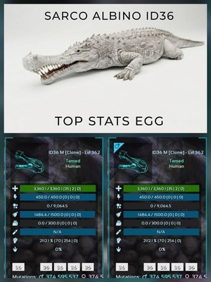 SARCO TOP STATS  EGG PAIR  Ark Survival Ascended Official PVE PC/XBOX/PS5