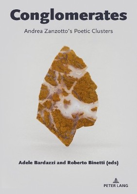 Conglomerates by Adele Bardazzi, Roberto Binetti - 9781803740522