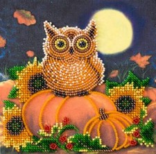 Mini Bead embroidery kit Night Guest DIY Embroidery Kit beadwork pattern
