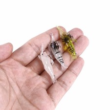 3PCS Soft Rubber Shrimp Ice Fishing Lures 4cm/1.5g Fish Bait Jig Bass Tackle
