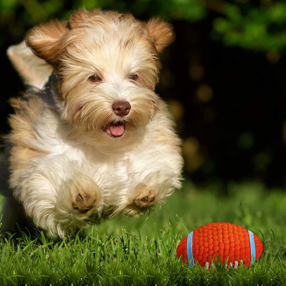 2 Pcs Dog Chew Toy Pet Sound Squeaky Large Soccer Ball for Dogs eBay