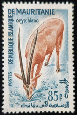 TIMBRE de MAURITANIE - ANIMAUX - ORYX BLANC N°153 NEUF * MH