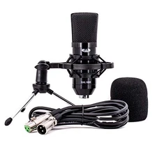 CAD Audio GXL1800 Large Format Side Address Condenser Microphone- Perfect for